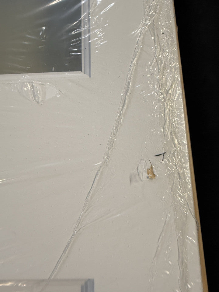 2 Panel Clear Glazed White Wooden External Panel Back Door, (H)1981mm (W)838mm